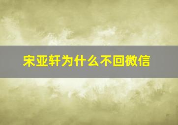 宋亚轩为什么不回微信