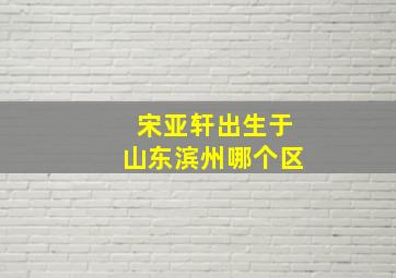 宋亚轩出生于山东滨州哪个区