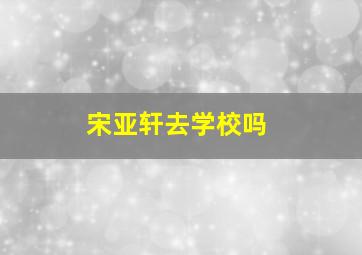 宋亚轩去学校吗