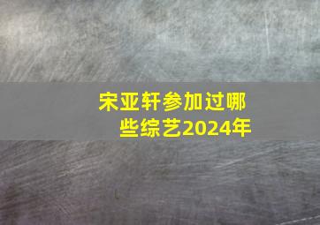 宋亚轩参加过哪些综艺2024年