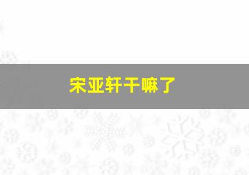 宋亚轩干嘛了