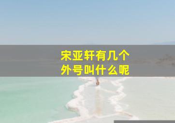 宋亚轩有几个外号叫什么呢