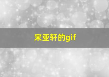 宋亚轩的gif