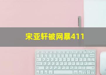 宋亚轩被网暴411