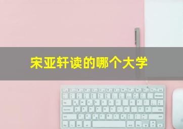 宋亚轩读的哪个大学