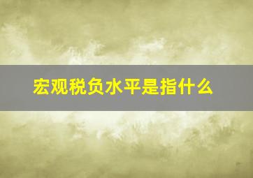 宏观税负水平是指什么