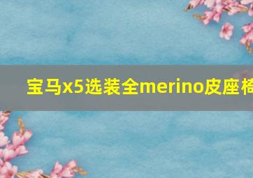 宝马x5选装全merino皮座椅