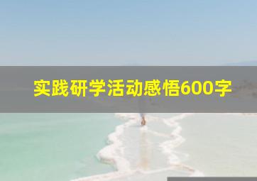 实践研学活动感悟600字