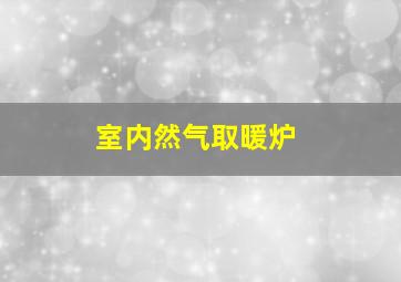 室内然气取暖炉