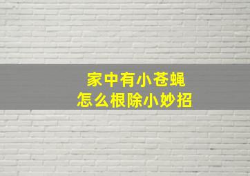 家中有小苍蝇怎么根除小妙招