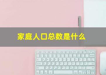 家庭人口总数是什么