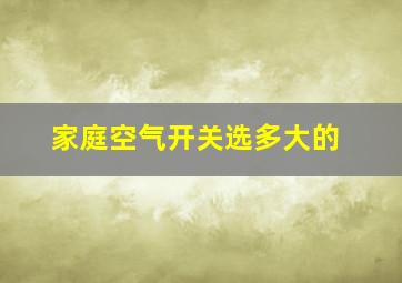 家庭空气开关选多大的