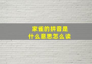 家雀的拼音是什么意思怎么读