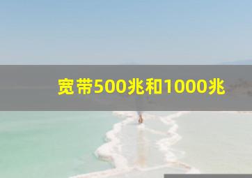 宽带500兆和1000兆