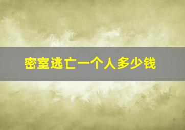 密室逃亡一个人多少钱