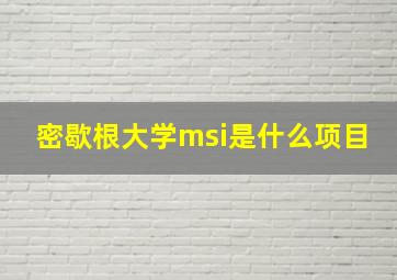 密歇根大学msi是什么项目