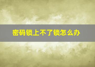 密码锁上不了锁怎么办