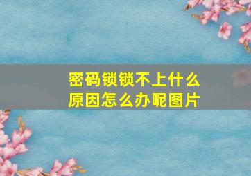 密码锁锁不上什么原因怎么办呢图片