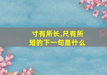 寸有所长,尺有所短的下一句是什么