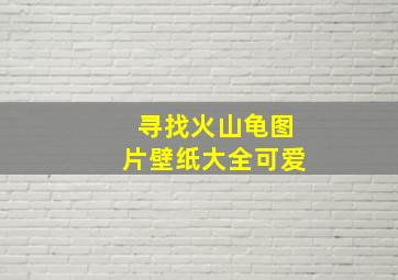 寻找火山龟图片壁纸大全可爱