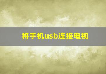 将手机usb连接电视