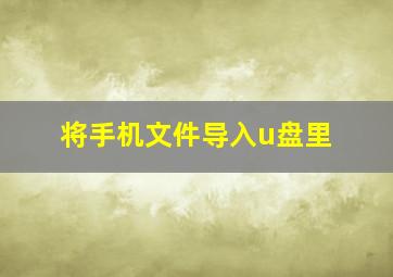 将手机文件导入u盘里