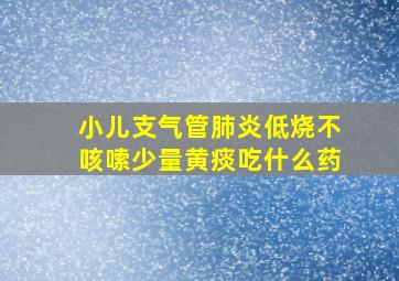 小儿支气管肺炎低烧不咳嗦少量黄痰吃什么药