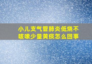 小儿支气管肺炎低烧不咳嗦少量黄痰怎么回事