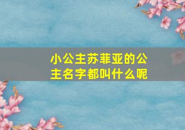 小公主苏菲亚的公主名字都叫什么呢