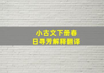 小古文下册春日寻芳解释翻译