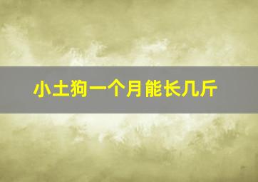 小土狗一个月能长几斤