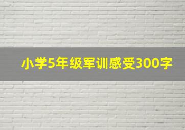 小学5年级军训感受300字