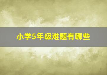 小学5年级难题有哪些