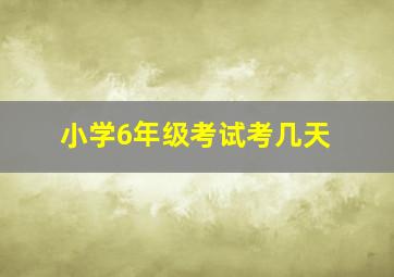 小学6年级考试考几天