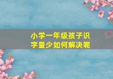 小学一年级孩子识字量少如何解决呢