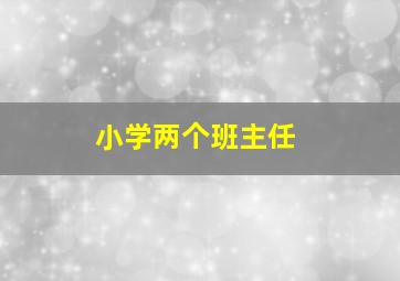 小学两个班主任