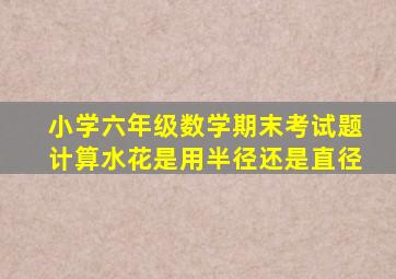 小学六年级数学期末考试题计算水花是用半径还是直径