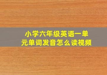 小学六年级英语一单元单词发音怎么读视频