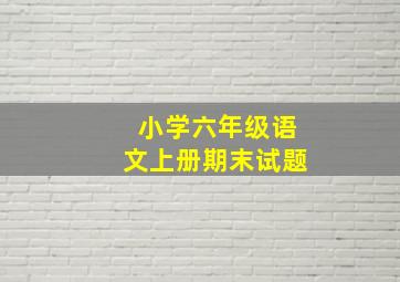 小学六年级语文上册期末试题