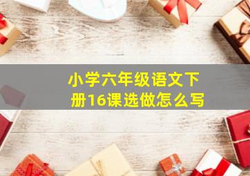 小学六年级语文下册16课选做怎么写