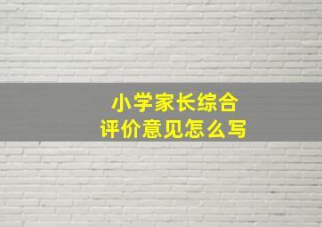 小学家长综合评价意见怎么写