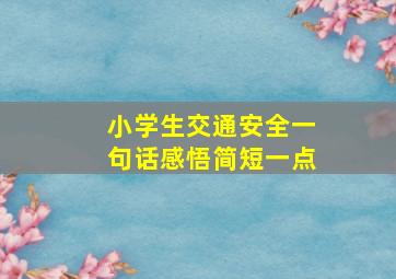 小学生交通安全一句话感悟简短一点