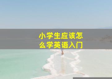 小学生应该怎么学英语入门