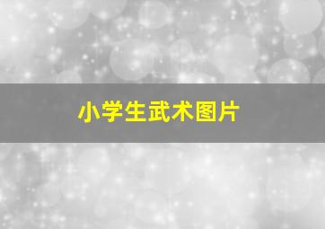 小学生武术图片