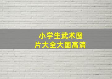 小学生武术图片大全大图高清