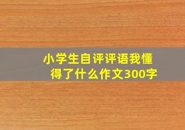 小学生自评评语我懂得了什么作文300字