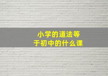 小学的道法等于初中的什么课