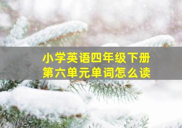 小学英语四年级下册第六单元单词怎么读