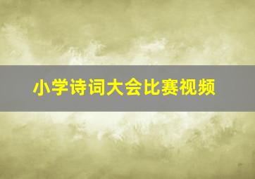 小学诗词大会比赛视频