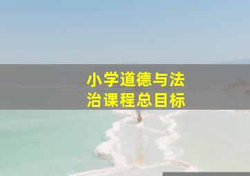 小学道德与法治课程总目标